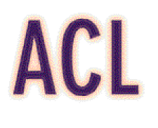 ACL for Windows Type Flat
